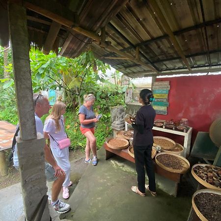 Badini Homestay Pemuteran Eksteriør bilde